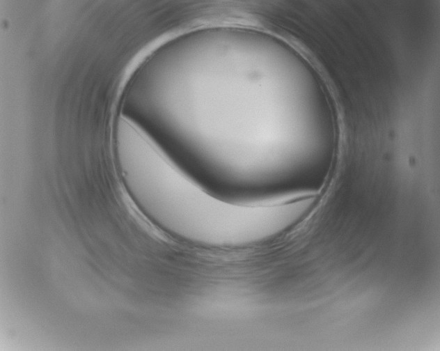 X0000051911246200507082021