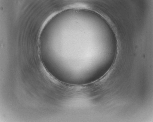 X0000051911248200507082021