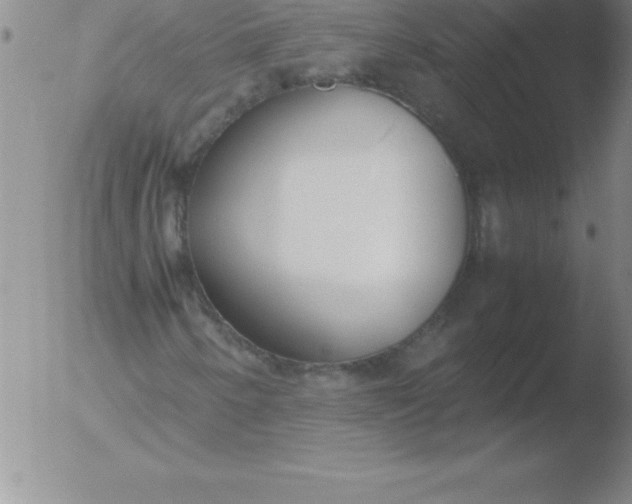 X0000051911250200507082021