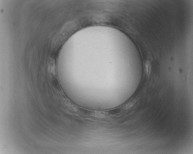 X0000051911251200507082021