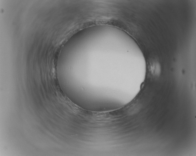 X0000051911252200507082021