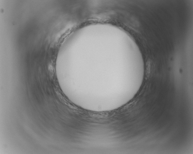 X0000051911254200507082020