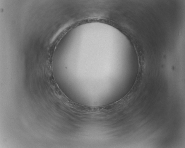 X0000051911256200507082020