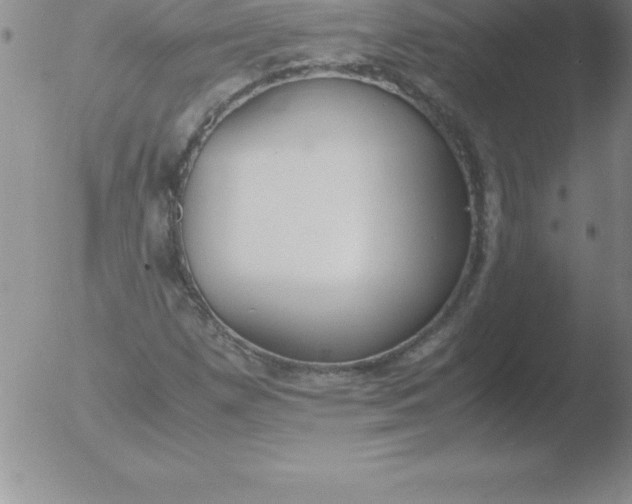 X0000051911257200507082020