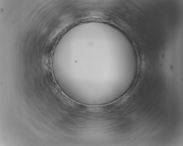 X0000051911258200507082020