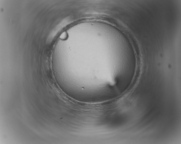 X0000051911259200507082020