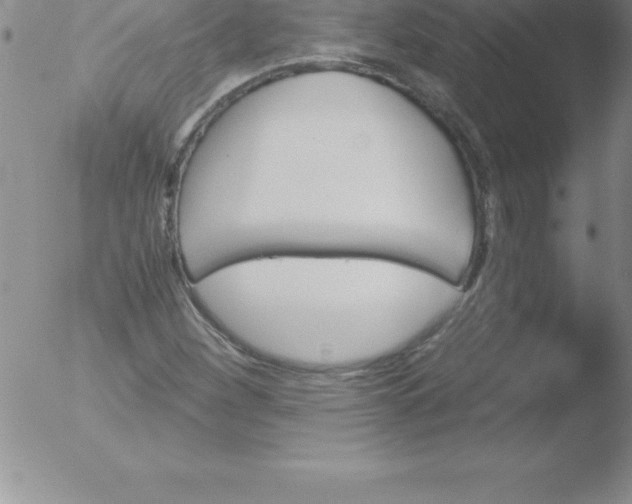 X0000051911260200507082020