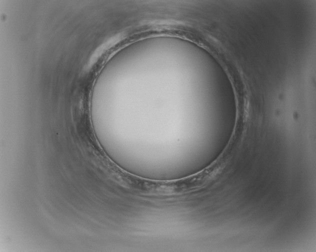 X0000051911261200507082020