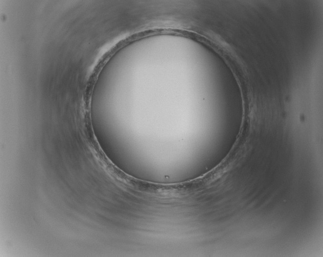 X0000051911264200507082020