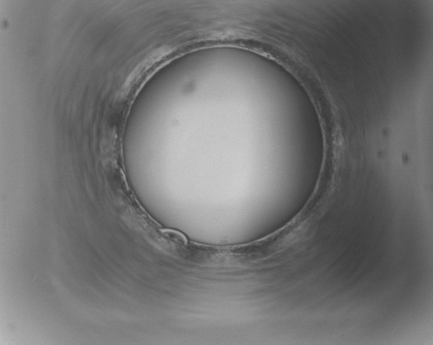 X0000051911265200507082020