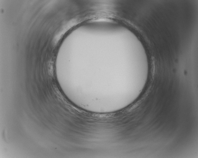 X0000051911266200507082020