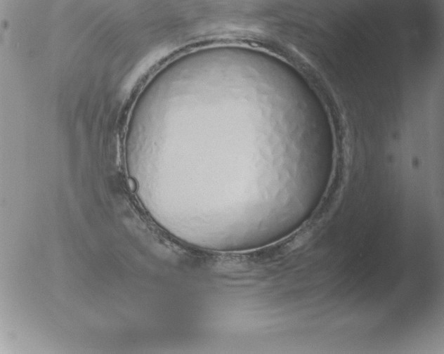 X0000051911267200507082020