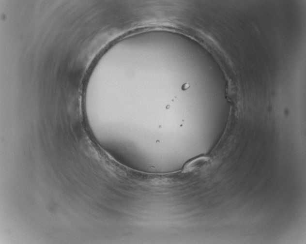 X0000051911268200507082020