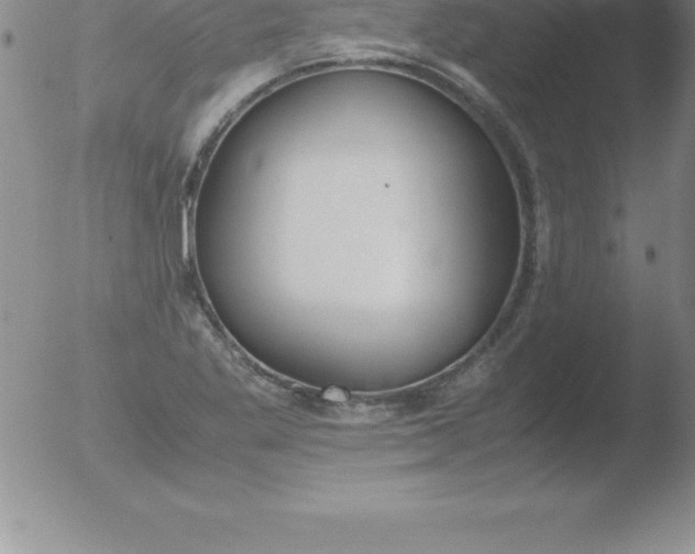 X0000051911269200507082020