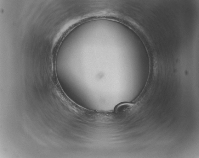 X0000051911270200507082020