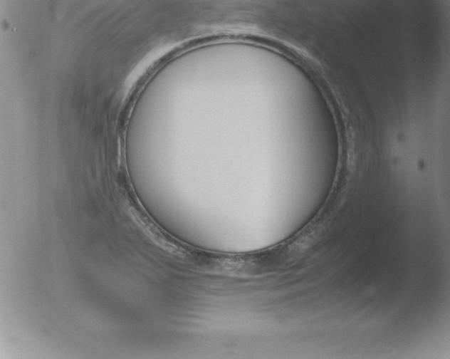 X0000051911271200507082020