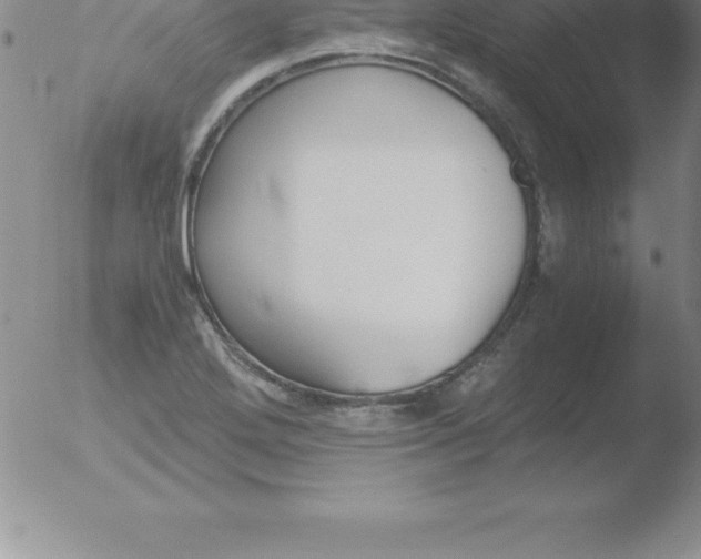 X0000051911272200507082020