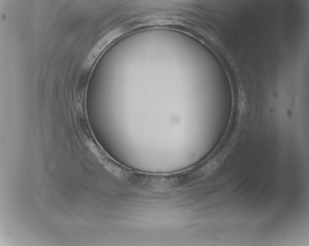 X0000051911273200507082020