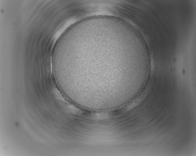 X0000051911274200507082020