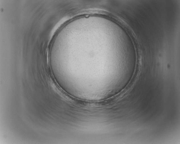 X0000051911275200507082020