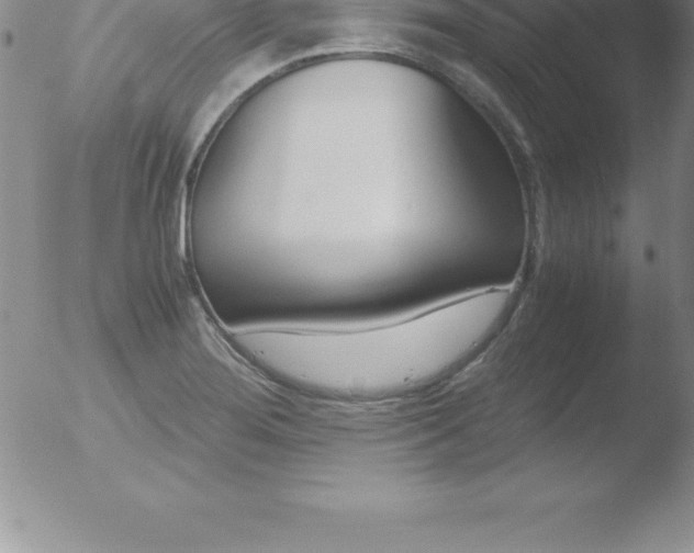 X0000051911276200507082020