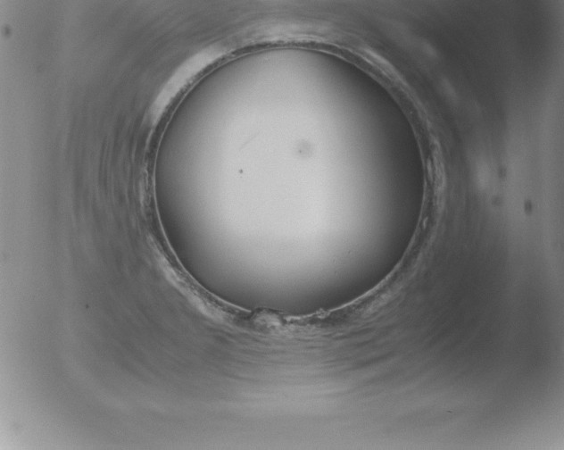 X0000051911277200507082020