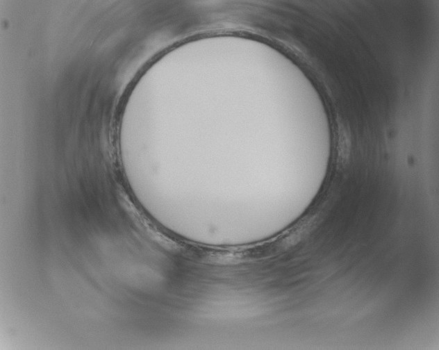 X0000051911278200507082020