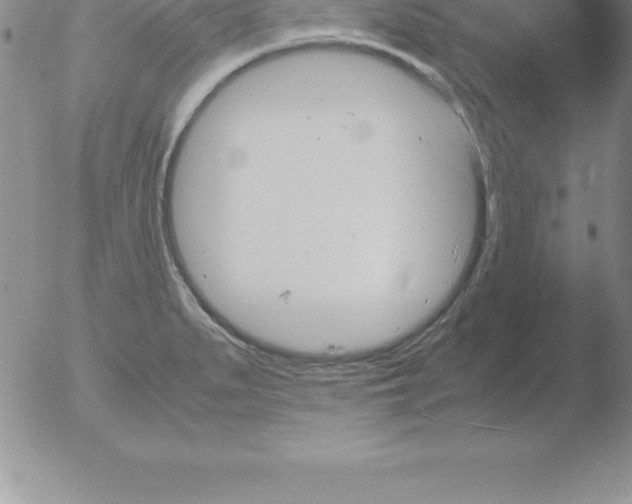 X0000051911279200507082020