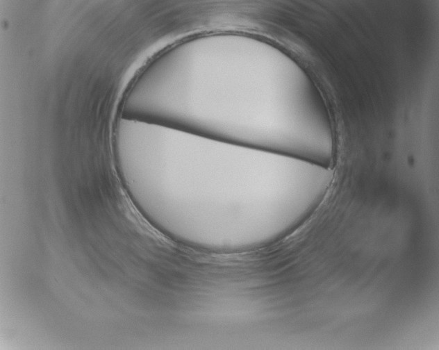 X0000051911280200507082020