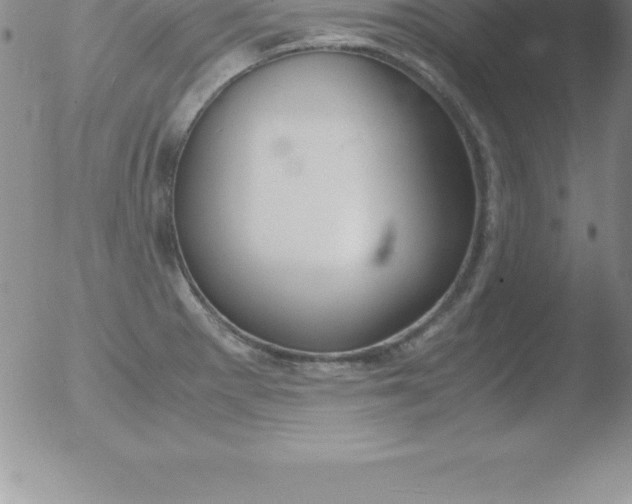 X0000051911281200507082020