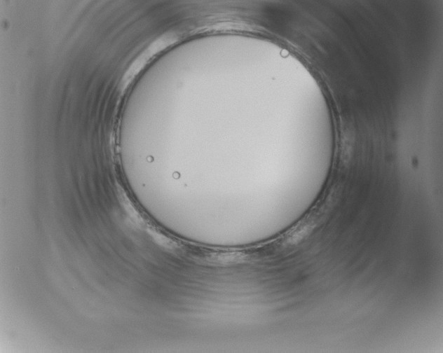 X0000051911282200507082020