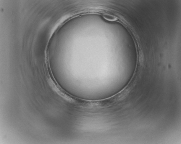 X0000051911283200507082020