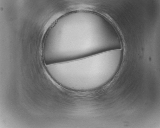 X0000051911285200507082020