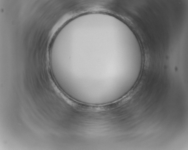 X0000051911286200507082020