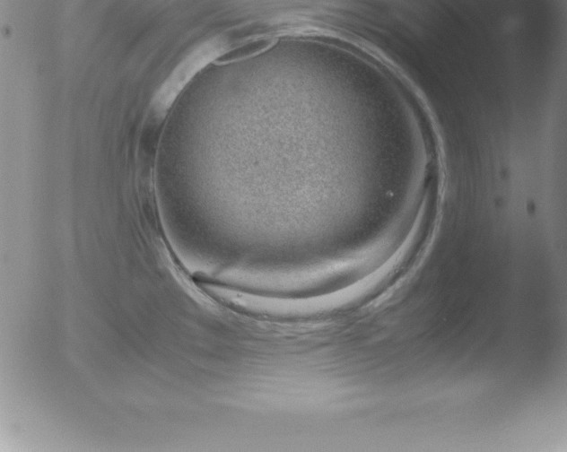 X0000051911289200507082020