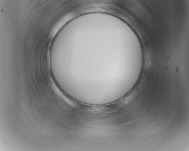 X0000051911290200507082020