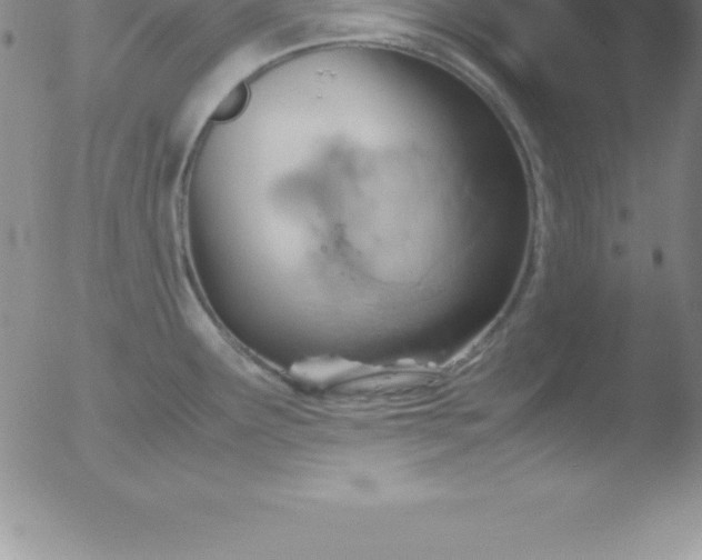 X0000051911291200507082020