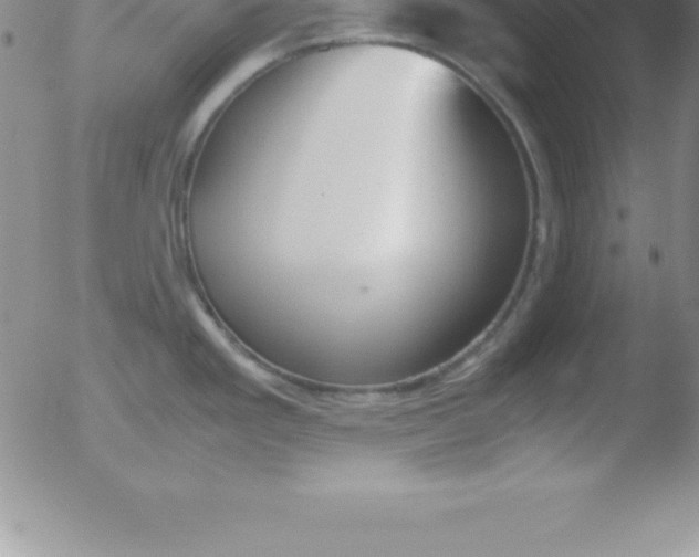 X0000051911293200507082020