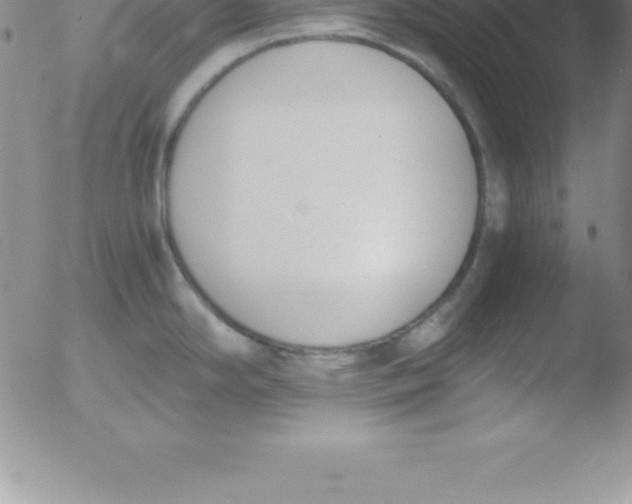 X0000051911294200507082020