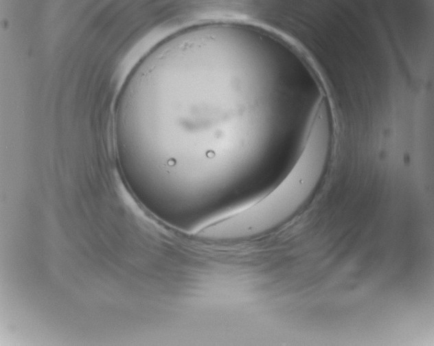 X0000051911295200507082020