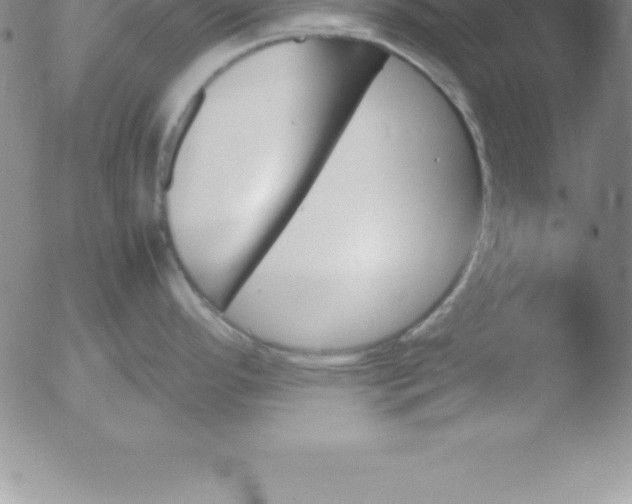 X0000051911296200507082020