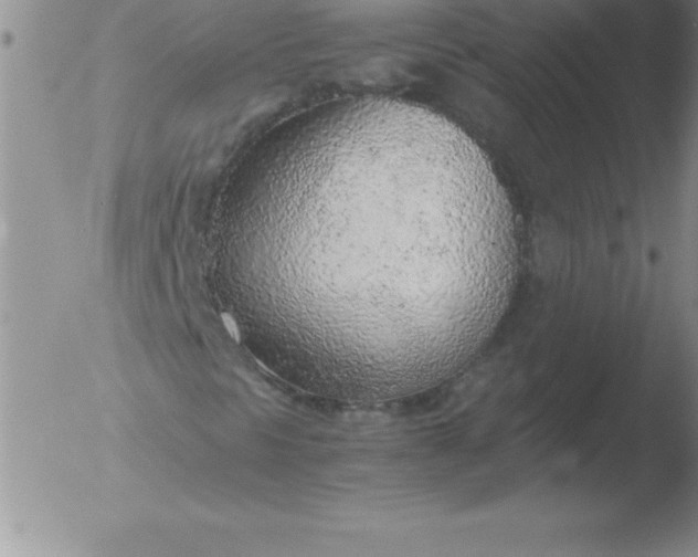 X0000051911297200507082019