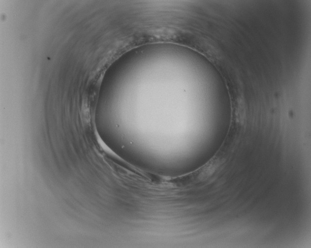 X0000051911298200507082019