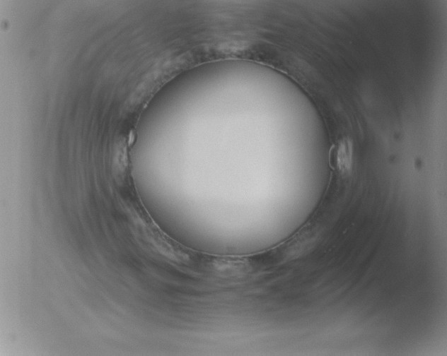 X0000051911299200507082019