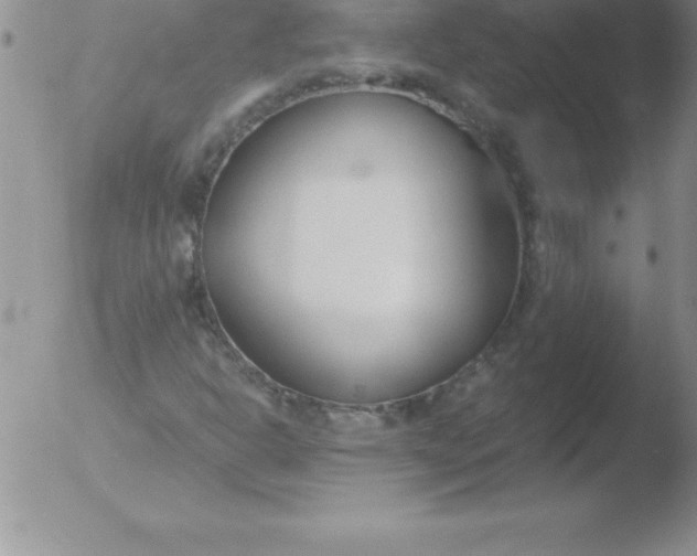 X0000051911302200507082019