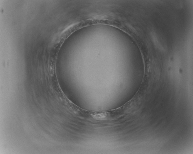 X0000051911303200507082019