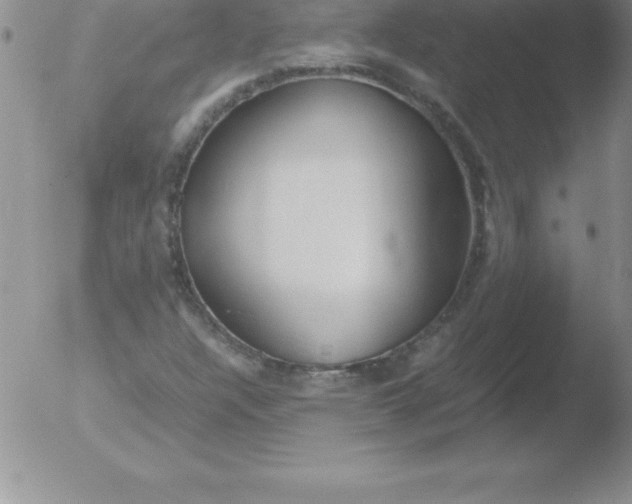 X0000051911304200507082019