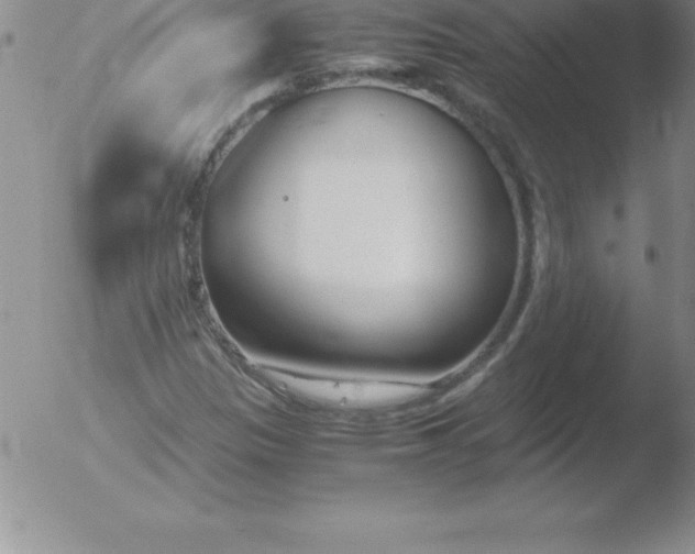 X0000051911305200507082019