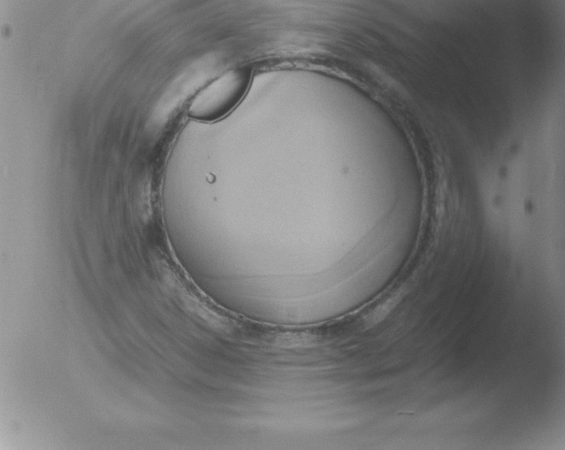 X0000051911306200507082019