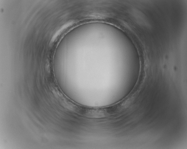 X0000051911307200507082019